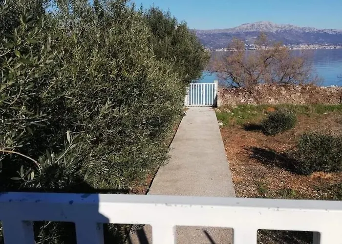 Ornela Traù
